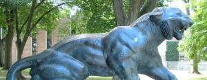 Princeton_University_Cleo_tiger slider