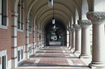 Rice University